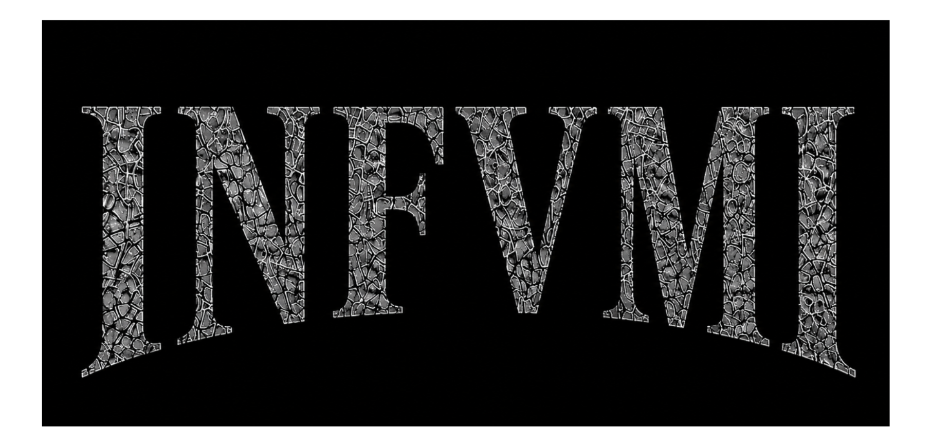 INFVMI